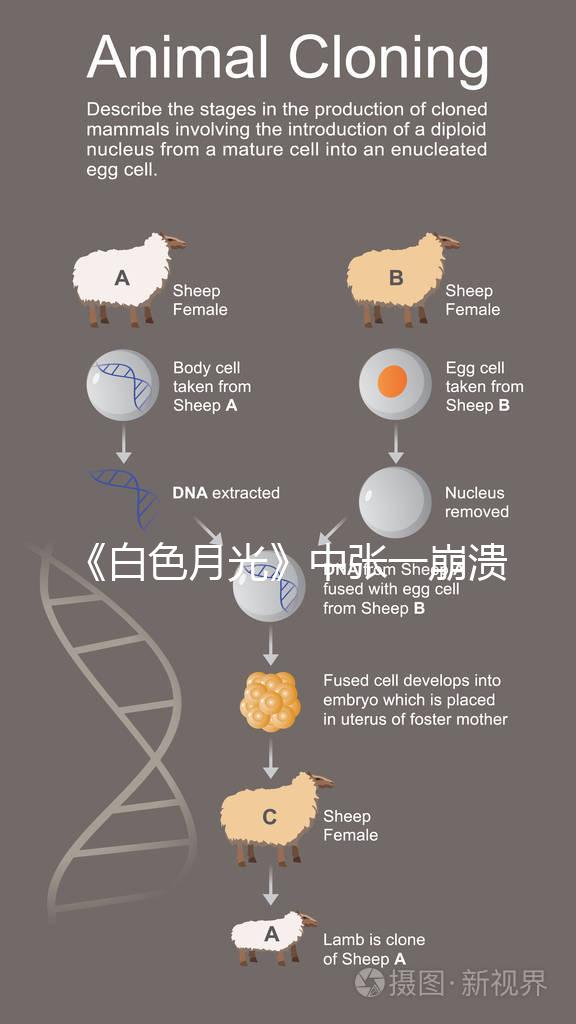 《白色月光》中張一崩潰在孩子面前哭，你認為該不該？