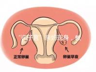 “許子言”親媽現身，教你如何生一個媽媽的小情人小暖爐！