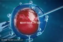 看到懷孕的第二個孩子！2024年廣州試管嬰兒費用清單