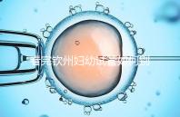 看完欽州婦幼試管如何別走，了解下助孕全過程費(fèi)用明細(xì)再說