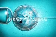 神奇塔羅牌占卜測胎兒性別解密,原來這些牌陣是男孩