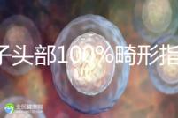 精子頭部100%畸形指數(shù)1.69，試管這條路還能通