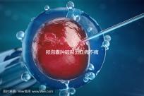 卵泡囊腫破裂出血痛不痛？經(jīng)歷過的姐妹們給出回應(yīng)