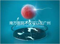 南方醫院不僅可以在廣州做b超，2024年黃浦區收費最高...