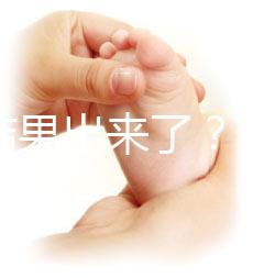 養(yǎng)囊結(jié)果出來(lái)了？3ab囊胚成功率、質(zhì)量好不好看這里