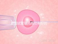 全國試管嬰兒成功率好的醫院排名