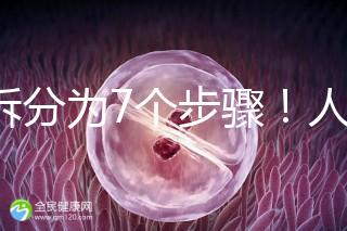 共拆分為7個步驟！人工授精自然周期流程全解