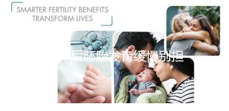 取卵后胚胎發育緩慢別擔心！這么做試管成功率翻倍