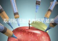 取卵和胚胎培養(yǎng)環(huán)節(jié)最重要？做試管嬰兒的你一定不知道！