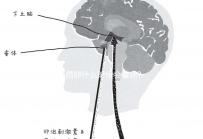 受精卵什么時候會著床?臨床經驗:12天后著床幾率低