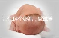 只有14個卵泡，做試管嬰兒到底要不要養(yǎng)囊？