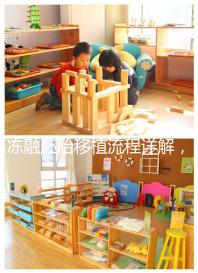 凍融胚胎移植流程詳解，3種內膜準備方案需注意