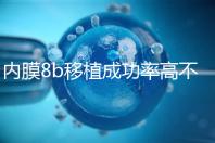 內(nèi)膜8b移植成功率高不高分析，掌握好時(shí)間放凍胚也能著床