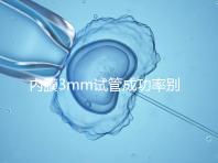 內膜3mm試管成功率別沒數，多久移植、出血與否是關鍵