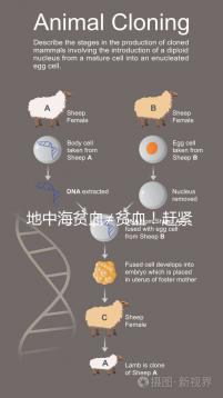 地中海貧血≠貧血!趕緊來看看地貧和貧血有什么區別