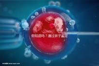 你知道嗎？通過親子鑒定補辦出生證也能給寶寶上戶口