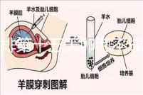 促排第十五天卵泡不成熟還可以治療！1.2等幾天就能長大