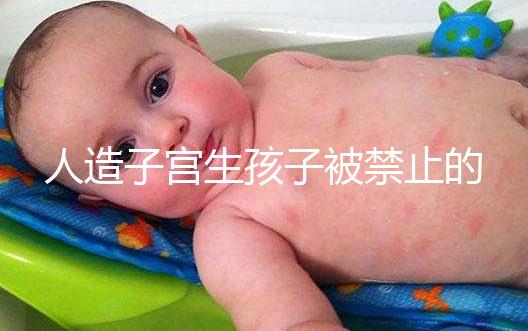 人造子宮生孩子被禁止的原因有三，會不會被允許未成定論