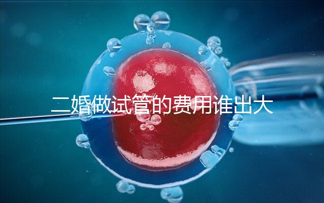 二婚做試管的費(fèi)用誰(shuí)出大揭秘！總共要花多少錢(qián)清清楚楚！