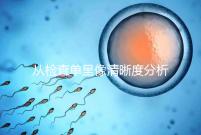 從檢查單呈像清晰度分析，二維彩超和nt赤裸裸的區別