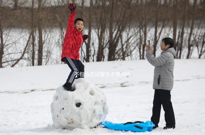 不包含在試管手術(shù)費(fèi)用內(nèi)!單雙腔取卵針價格自費(fèi)