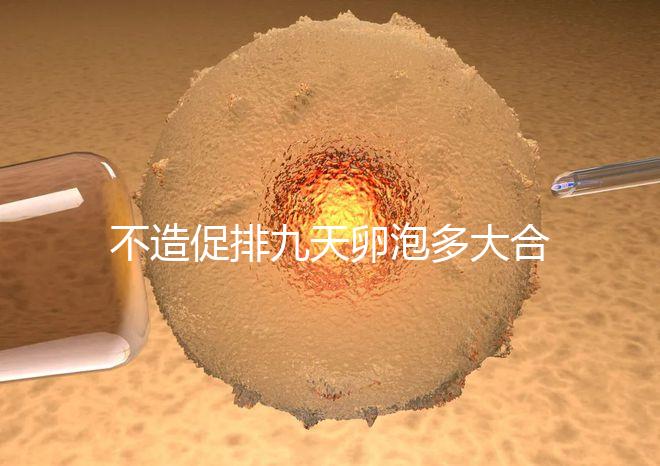 不造促排九天卵泡多大合適的瞧,卵巢功能好卵子10還能長(zhǎng)