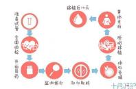 專治停經、絕經、卵巢早衰？利維愛的作用與適應癥分析