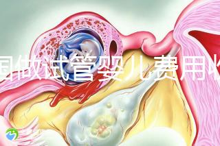 中國做試管嬰兒費用收費價目表一覽,包含具體成本預算