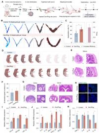 乳腺癌不吃他莫昔芬后果很嚴重，復發(fā)僅為其一