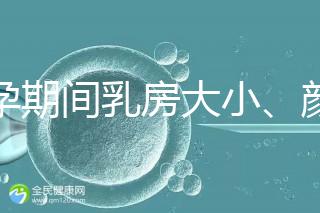 懷孕期間乳房大小、顏色變化有區(qū)別，男寶女寶這樣看