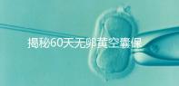 揭秘60天無卵黃空囊保胎成功表現，這些經典案例別錯過