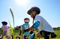 拉拉領結婚證多少錢？2024年注冊最高數