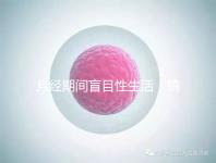 月經期間盲目性生活，搞不好真的會出人命！