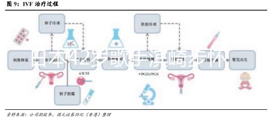 日本42歲歌手濱崎步懷二胎，孩子父親身份引猜測