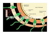 正常內(nèi)分泌檢查報(bào)告單圖片大全，一分鐘弄懂檢測(cè)結(jié)果怎么看