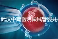 武漢中南醫(yī)院做試管嬰兒需要多少錢(qián)：2025年這些試管收費(fèi)有變動(dòng)