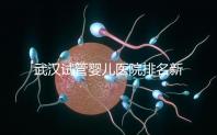 武漢試管嬰兒醫院排名新出爐，來看看2024哪些私立機構上榜