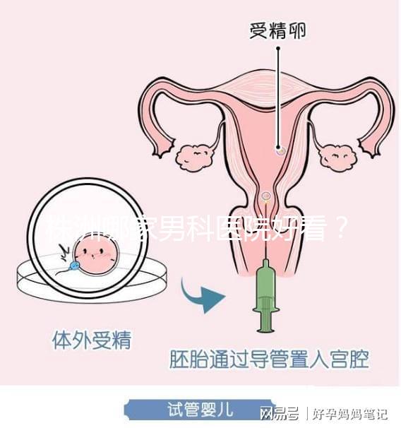株洲哪家男科醫院好看？這位醫生的專業成本還很低