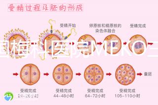 泰國梅科醫院MEKO三代試管嬰兒，不靠中介翻譯安心好孕