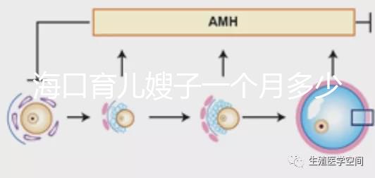 ?？谟齼荷┳右粋€月多少錢，哪個好答案總結，新手父母必須看