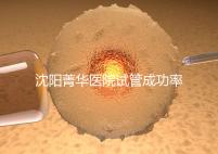 沈陽菁華醫(yī)院試管成功率高嗎?教你4招提升胚胎著床機會