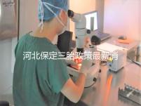 河北保定三胎政策最新消息2024，不造補貼怎么申請看過來