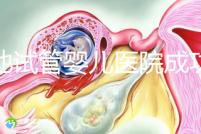 河池試管嬰兒醫(yī)院成功率排名出爐,這幾家助孕技術真不差