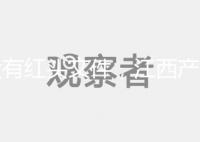 沒有紅頭文件,江西產(chǎn)假難以實施2024年新政策包括工資支付標(biāo)準(zhǔn)