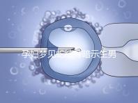 孕婦夢見蛇纏身暗示生男孩?看完具體寓意你就知道了