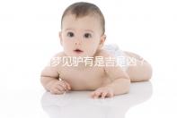 孕婦夢(mèng)見(jiàn)驢有是吉是兇?看看相關(guān)解夢(mèng)你就知道了