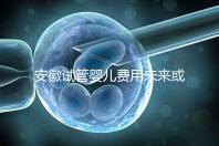 安徽試管嬰兒費(fèi)用未來或?qū)⒓{入醫(yī)保范圍?官方回復(fù)來了