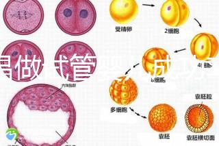 宜昌做試管嬰兒成功率和費用多少？先看哪些醫院能做吧！
