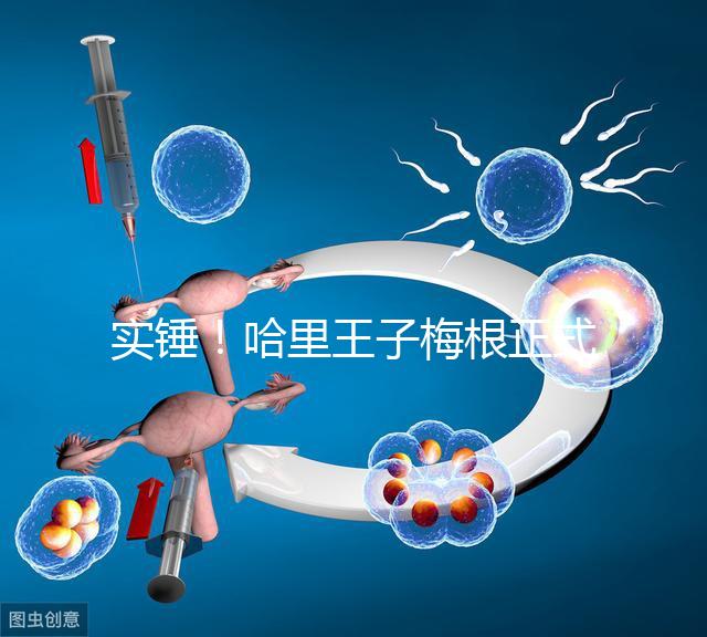 實錘！哈里王子梅根正式公布寶寶名字：阿爾奇·哈里森