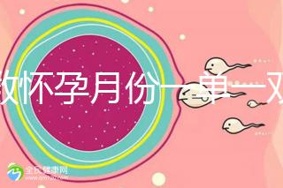 歲數懷孕月份一單一雙懷兒子幾率?。磕鞘悄銢]按照農歷來